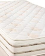 ⁦نیو ماریوت 20سم⁩ - الصورة ⁦4⁩