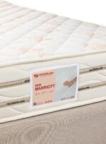 ⁦نیو ماریوت 15سم⁩ - الصورة ⁦3⁩