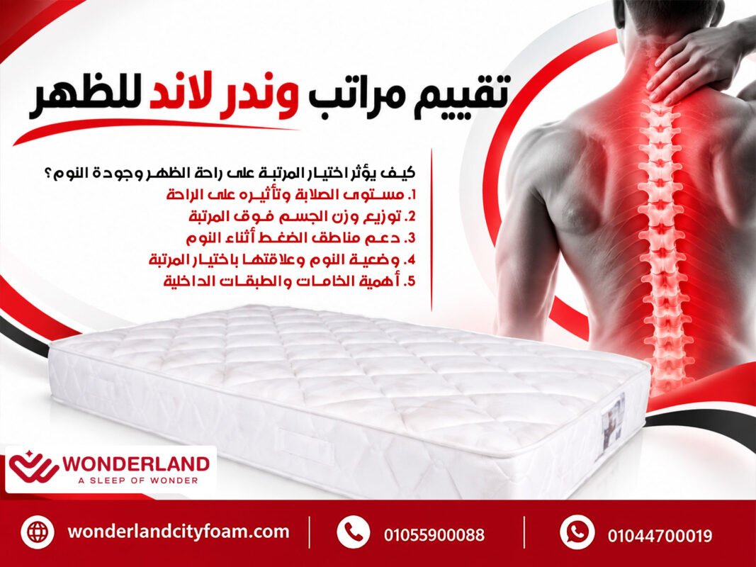 تقييم مراتب وندر لاند للظهر